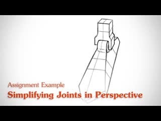 Simplifying joints in perspective human anatomy
