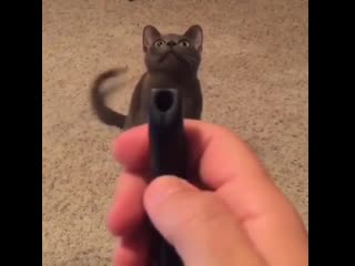 Maaaaa! that f**king red dot is back!