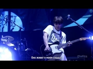 Ftisland sayonara (rus sub saicogoat) live in budokan