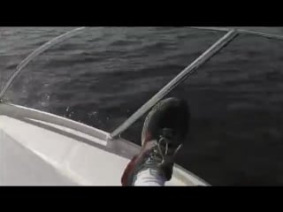 Summercruise bicep pose musclewoman anna konda