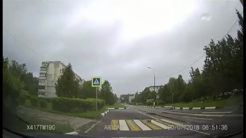 Образцовый пешеход