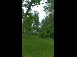 Vid 20200607 132318 mp4