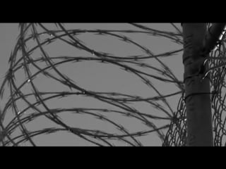 Ng ms 13 samaja zhestokaja banda v mire 2013 xvid dvdrip