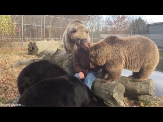 Orphaned bears greet returning owner