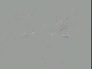 Приколи ! ! !