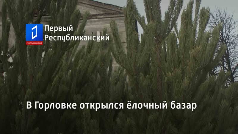 В горлое открылся ёлочный базар