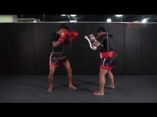 Awesome muay thai liver kick ko! | strong division |