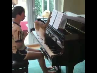 Добавил свою нотку!