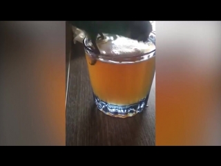 Пивной флекс