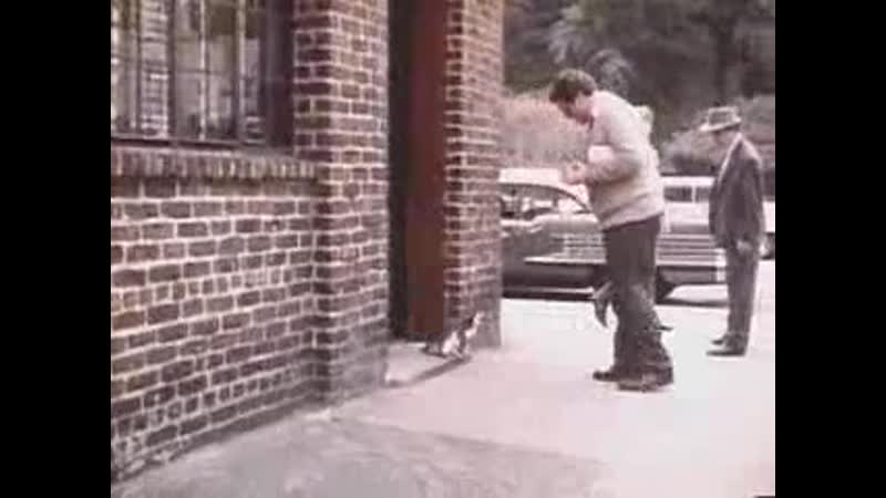 Five corners (1987) trailer