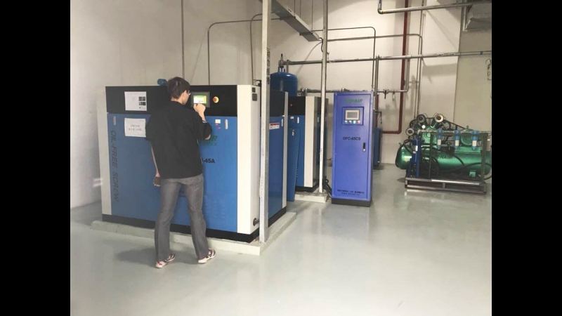 Denair безмасляный воздушный компрессор сухого типа работают в автомобильном заводе toyota