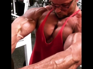 Грудь + дельты