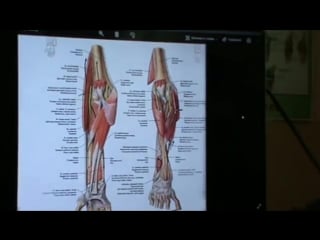 4 модуль, семинар 6(висцеральная сфера)день 1, ч 3 повторение пройденного
