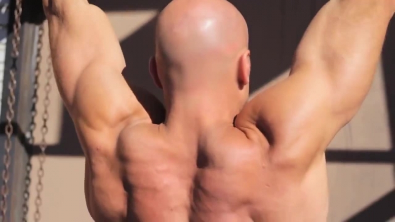 Мышцы спины, денис семенихин