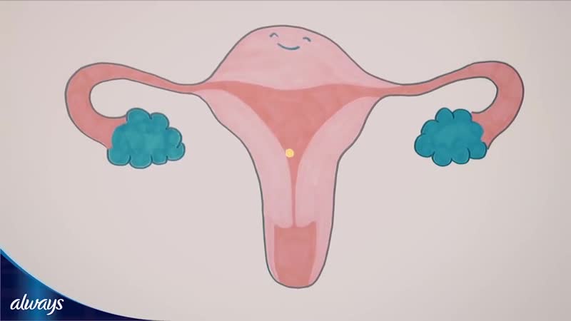 Sll как подготовить дочку к первым месячным