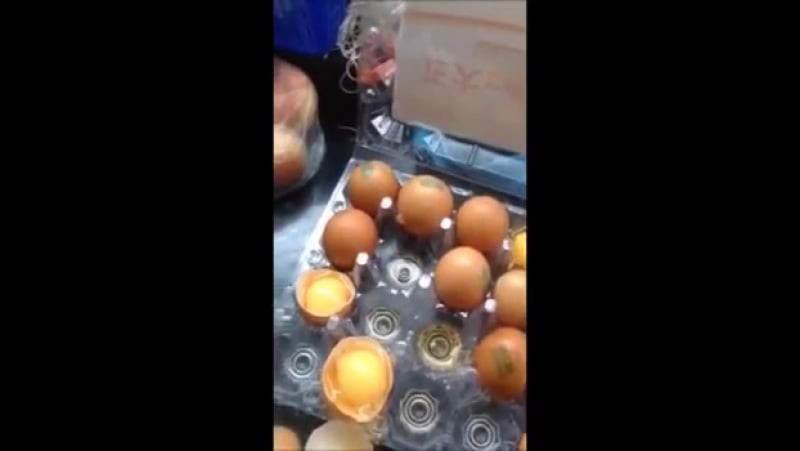 ✔ особое мнение китайцы уже и яйца подделывают