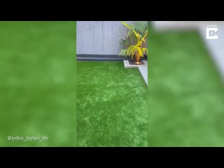 [caters clips] family transform garden into stylish haven