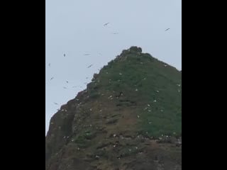 Haystack rock