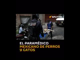El paramédico mexicano de perros y gatos