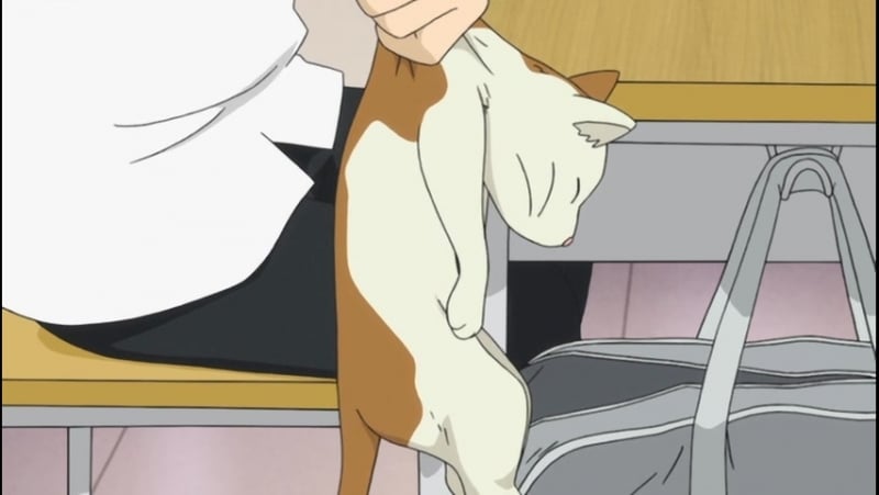 [shiza] мой сосед сэки кун / tonari no seki kun ova [greymoon &amp; ruri] [2014] [русская озвучка]