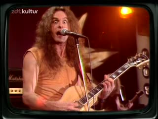 Ted nugent cat, scratch, fever
