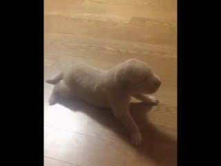 170829 aoa mina instagram