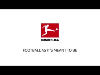 Bundesliga tsg 1899 hoffenheim borussia dortmund