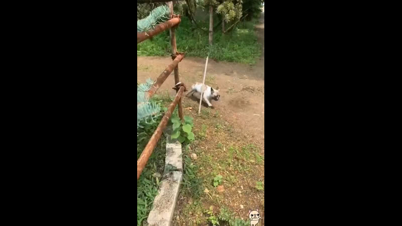 Когда мама попросила гулять аккуратно и прийти домой чистым