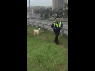 Дпсник с коллегой