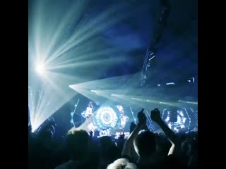 Quintino & richie loop manimal