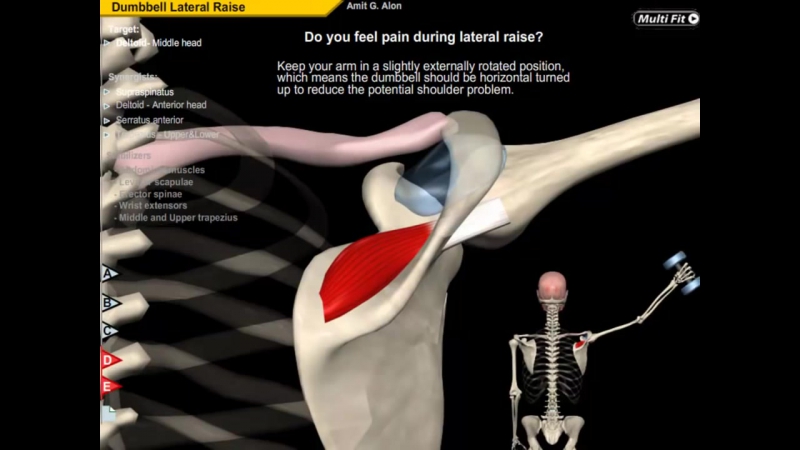 Dumbbell side lateral raise