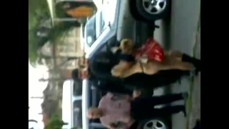 Стриптиз во владике