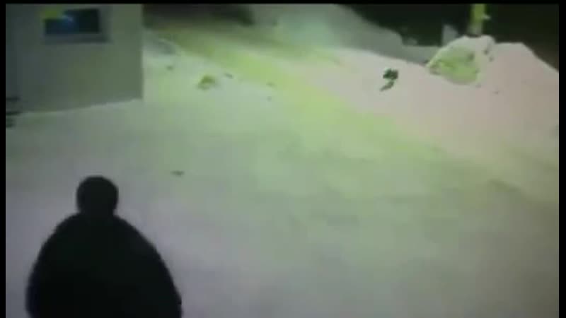 Братан куда они побежали?