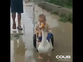 Парнишка и ездовой гусь guy and riding goose