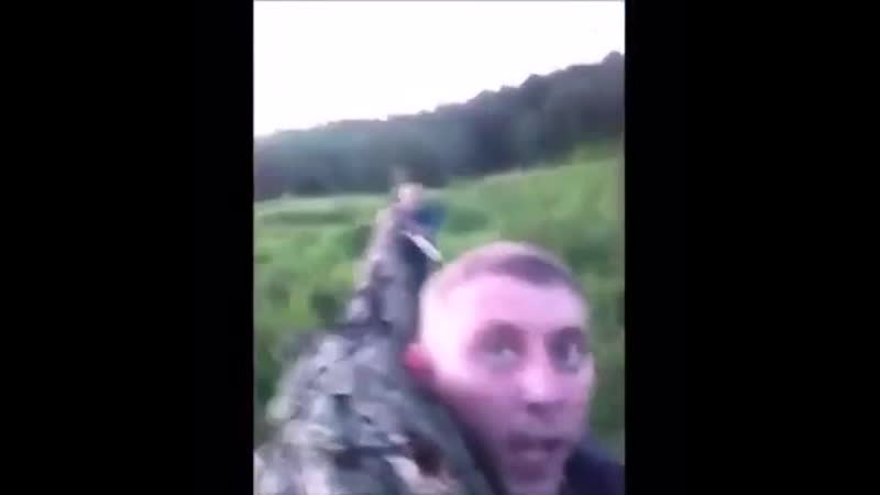 Прикол с бревном