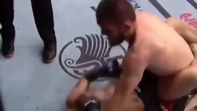 Хабиб – конору во втором раунде "давай поговорим теперь" [ ]