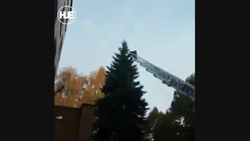 В тамбове иностранного студента снимали с ели сотрудники мчс