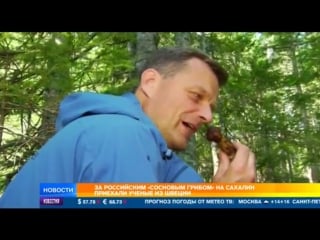 Дневные новости на рен тв 05 09 2017 последний выпуск 05 09 17