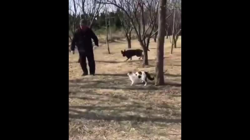 Беспредельщики