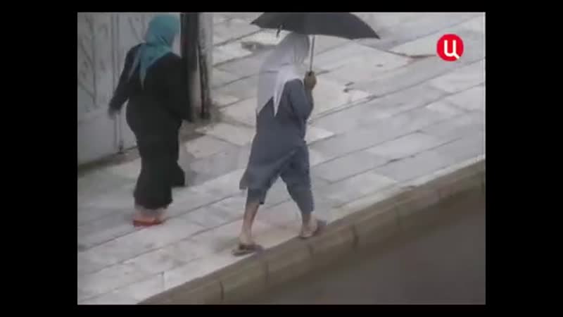 Бен ладен особая папка