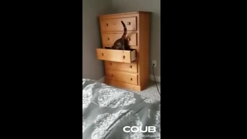 Когда к бабушке приехали внуки