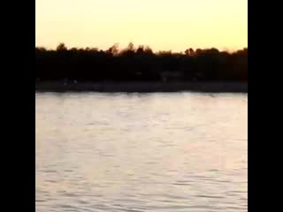 Club of smoke 20191117 1 mp4