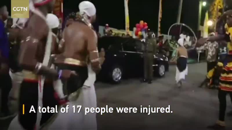На празднике в шри ланке слон затоптал почти два десятка людей