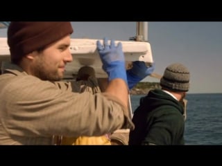 The congressman 2016 p dvdrip 14oomb koshara