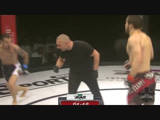 Bravefc 21 ахмед магомедов gabriel fly