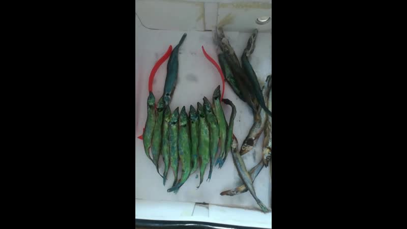 Бэкстейдж к заданию 10 0 апельсинка