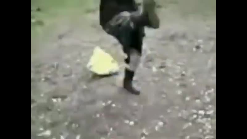 Лютая ауе бабка украла у сына снюс и флексит