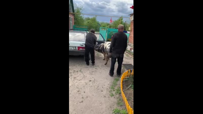 200кг