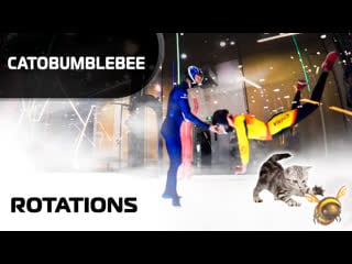 Training catobumblebee rotations (leo & chinese team)