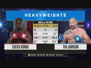 Cheick kongo vs timothy johnson